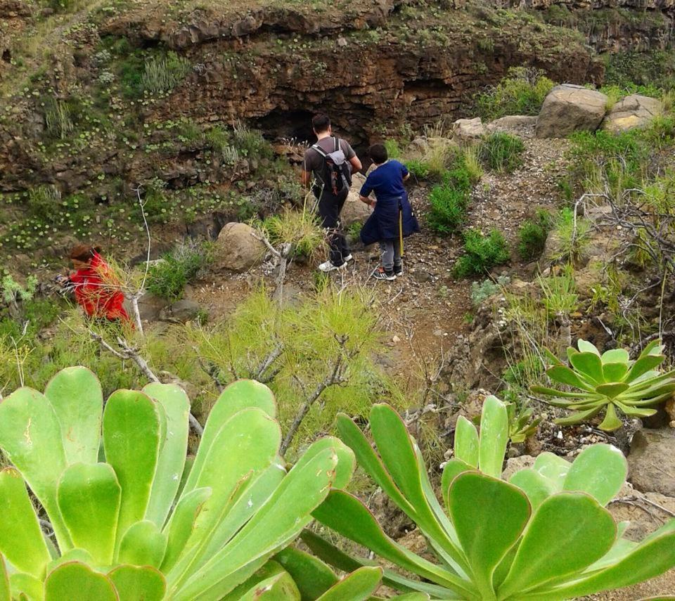 Casa La Sombrera Tenerife سانتا كروز دي تينيريف المظهر الخارجي الصورة